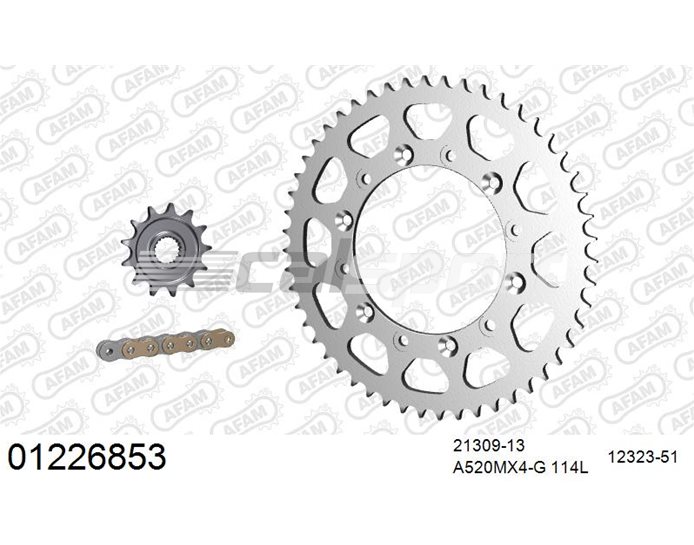 01226853 - AFAM Premium Chain & Steel Sprocket Kit, 520 (OE pitch) - Gold 114 link chain, 13T steel/51T steel sprockets