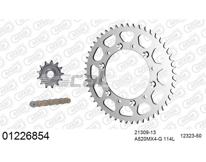 01226854 - AFAM Premium Chain & Steel Sprocket Kit, 520 (OE pitch) - Gold 114 link chain, 13T steel/50T steel sprockets