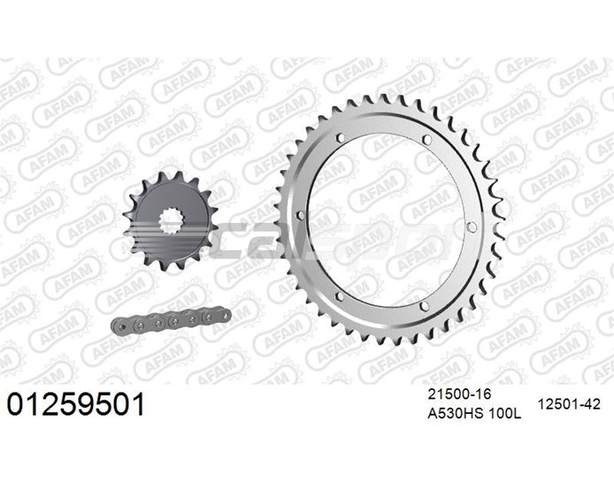 01259501 - AFAM Premium Chain & Steel Sprocket Kit, 530 conversion - Plain Steel 100 link chain, 16T steel/42T steel sprockets