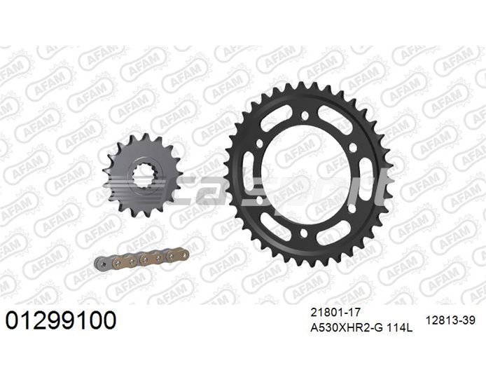 01299100 - AFAM Premium Chain & Steel Sprocket Kit, 530 (OE pitch) - Gold 114 link chain, 17T steel/39T steel sprockets