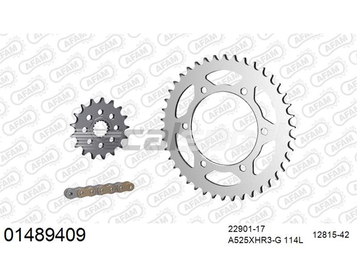 01489409 - AFAM Premium Chain & Steel Sprocket Kit, 525 conversion - Gold 114 link chain, 17T steel/42T steel sprockets