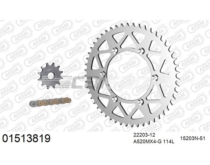 01513819 - AFAM Premium Chain & Ultralight Alu Racing Sprocket Kit, 520 (OE pitch) - Gold 114 link chain, 12T steel/51T alu sprockets