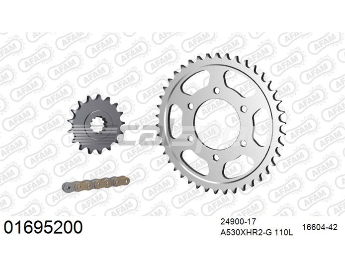 01695200 - AFAM Premium Chain & Steel Sprocket Kit, 530 (OE pitch) - Gold 110 link chain, 17T steel/42T steel sprockets