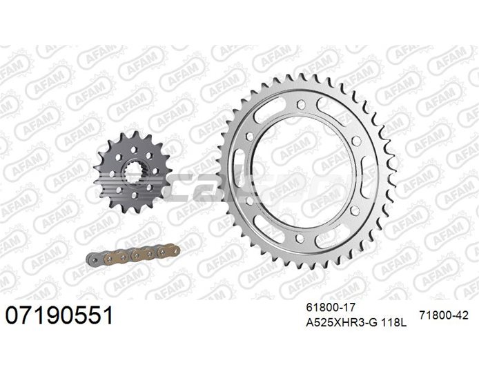 07190551 - AFAM Premium Chain & Steel Sprocket Kit, 525 (OE pitch), ABS,R ABS - Gold 118 link chain, 17T steel/42T steel sprockets