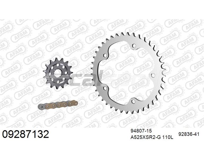 09287132 - AFAM Premium Chain & Steel Sprocket Kit, 525 (OE pitch), R - Gold 110 link chain, 15T steel/41T steel sprockets